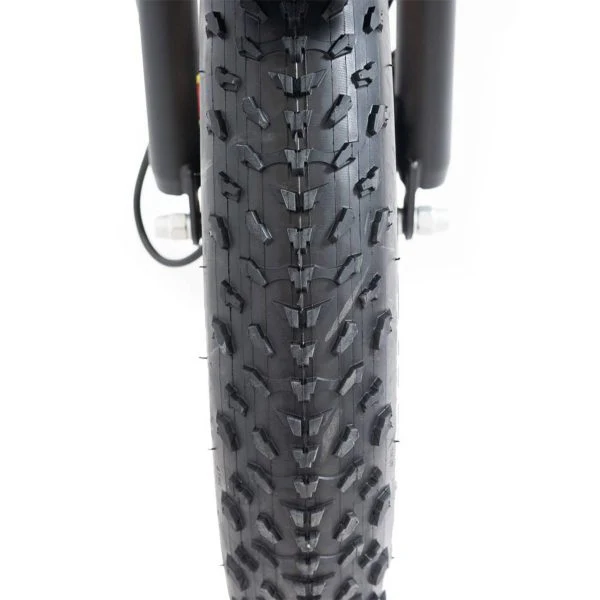 20 48V/14AH 750W Foldable Fat Tire Electric Trike, 330LBS