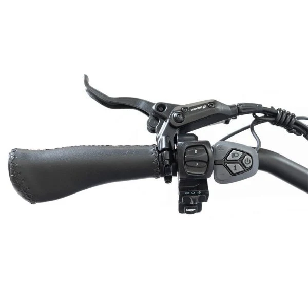 20 48V/14AH 750W Foldable Fat Tire Electric Trike, 330LBS