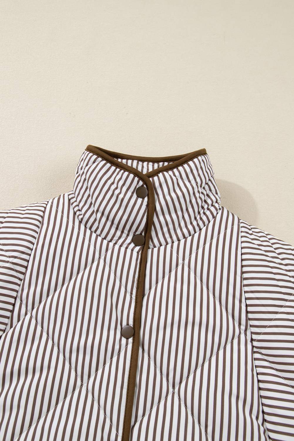 Black Stripe Contrast Trim Snap Button Collared Winter Vest