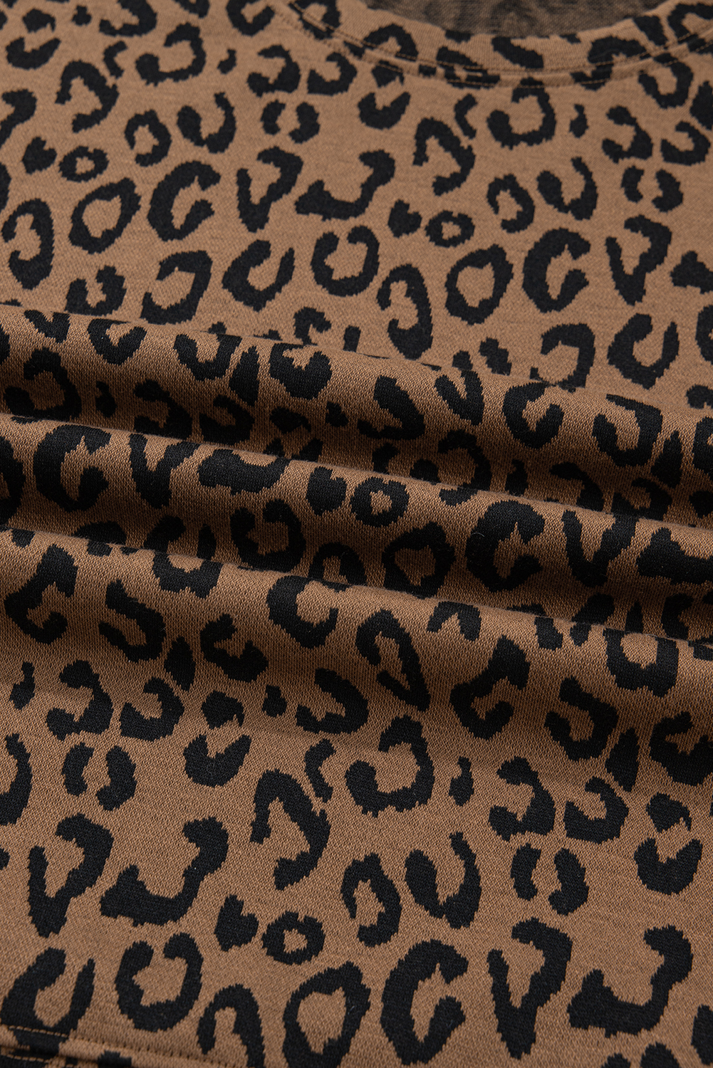 Brown Varsity Striped Trim Leopard Long Sleeve Top Drawstring Pant Set