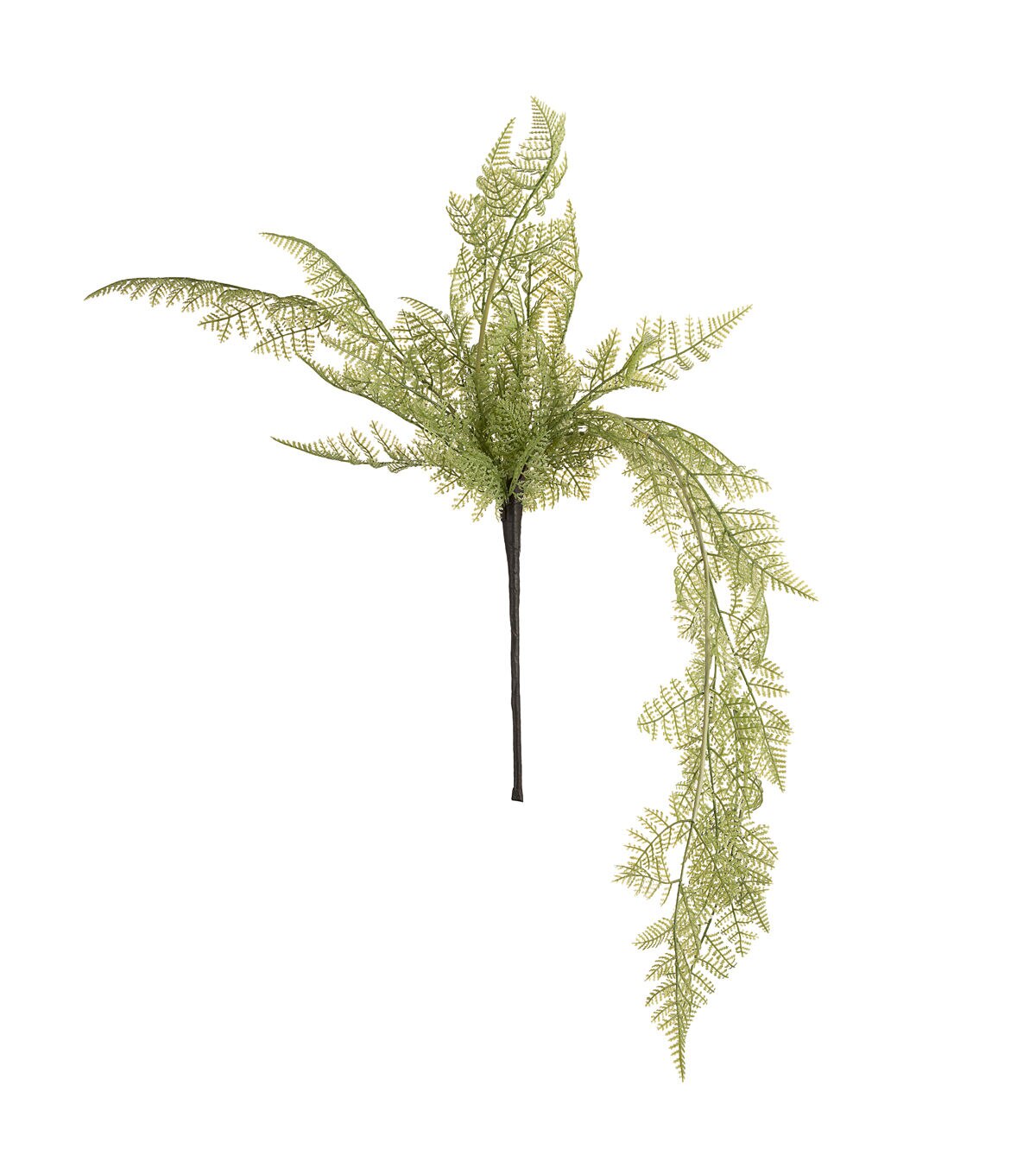 33 Hanging Fern Bush by Bloom Room