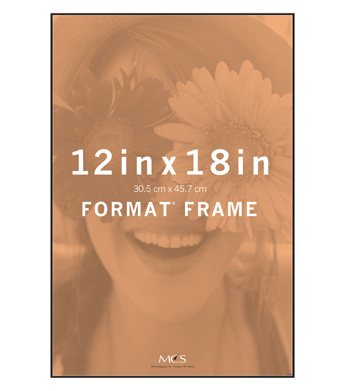 MCS 12 x 18 Front Loading Black Wall Frame