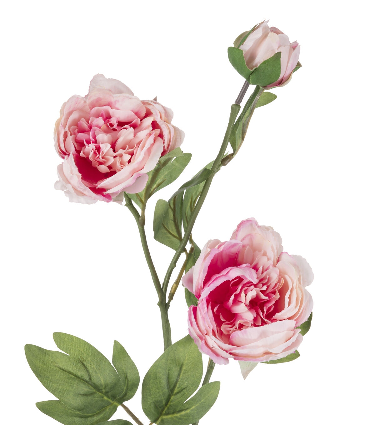 27 Light Pink Peony Stem by Bloom Room