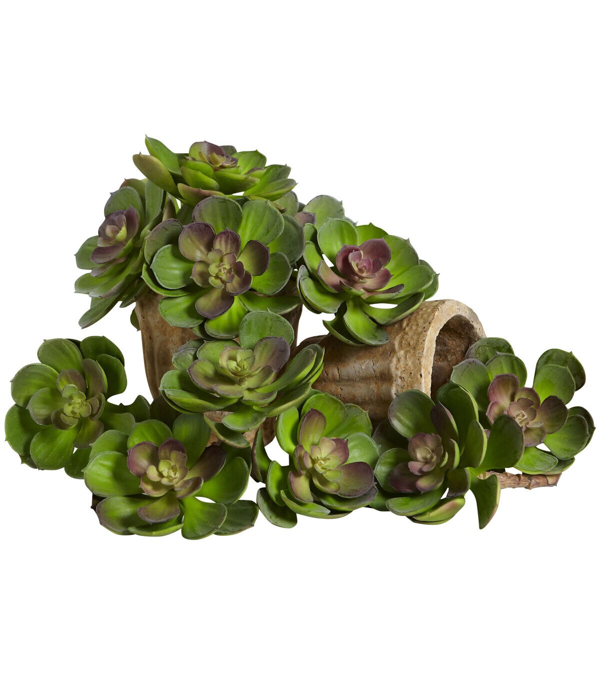 Nearly Natural 5 Echeveria Succulent Plant 12ct