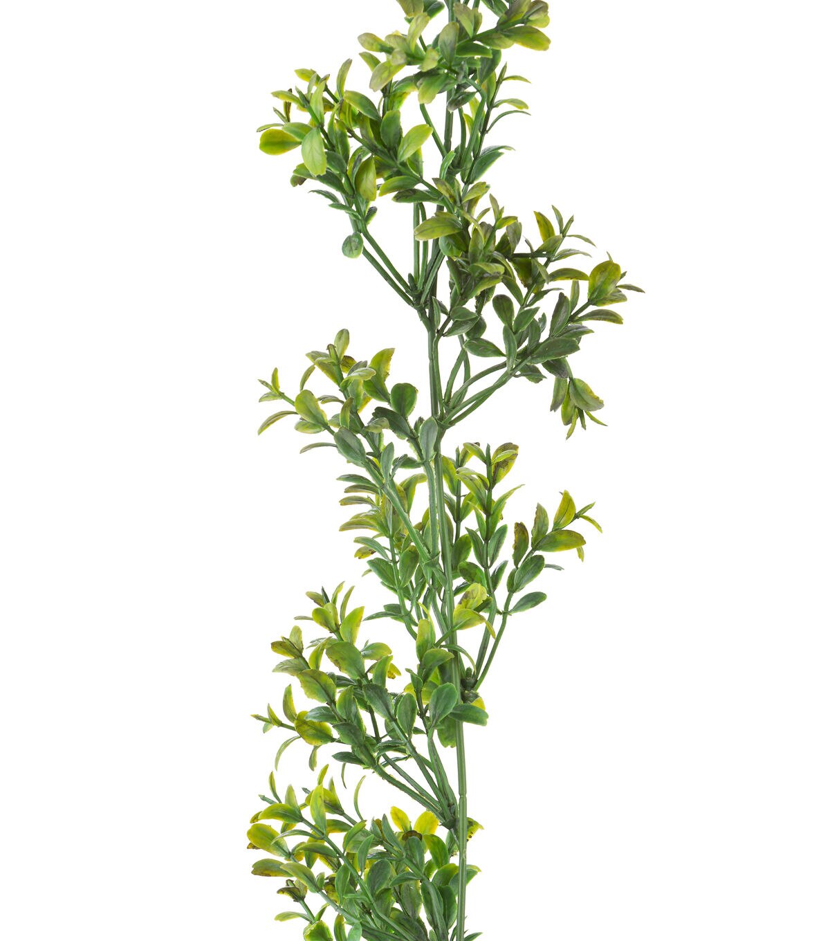 72 Boxwood Garland by Bloom Room