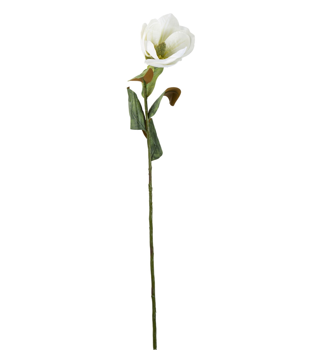 32 White & Green Magnolia Stem by Bloom Room