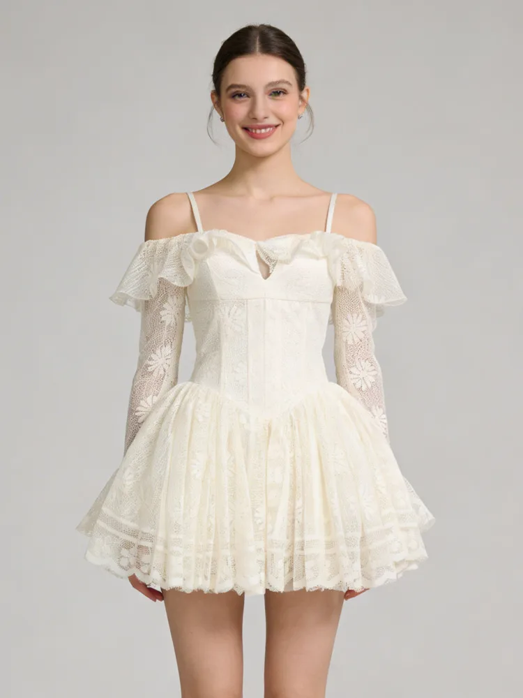 Off Shoulder Lace Corset Flared Mini Dress