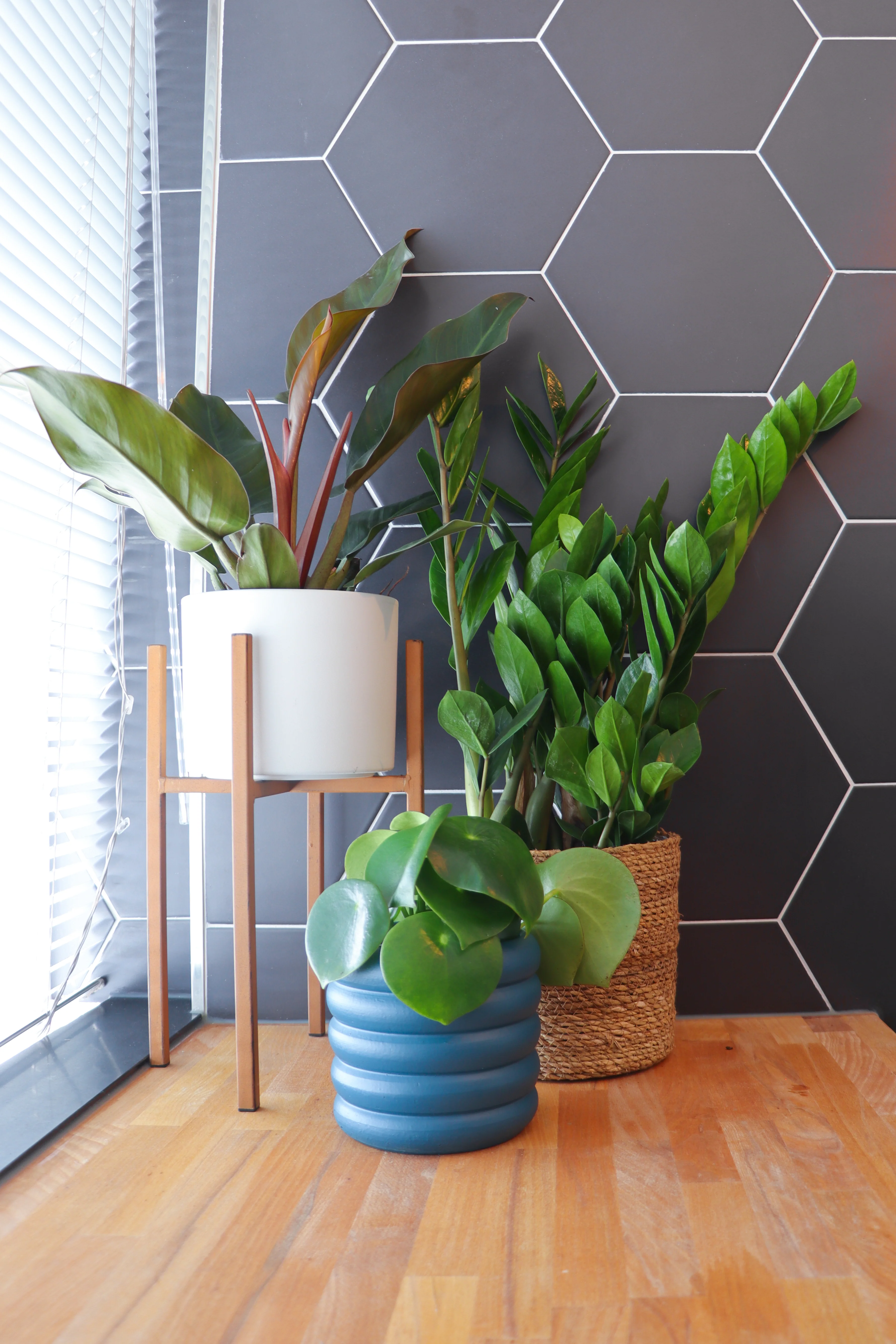 Sammie und die Schattenbande