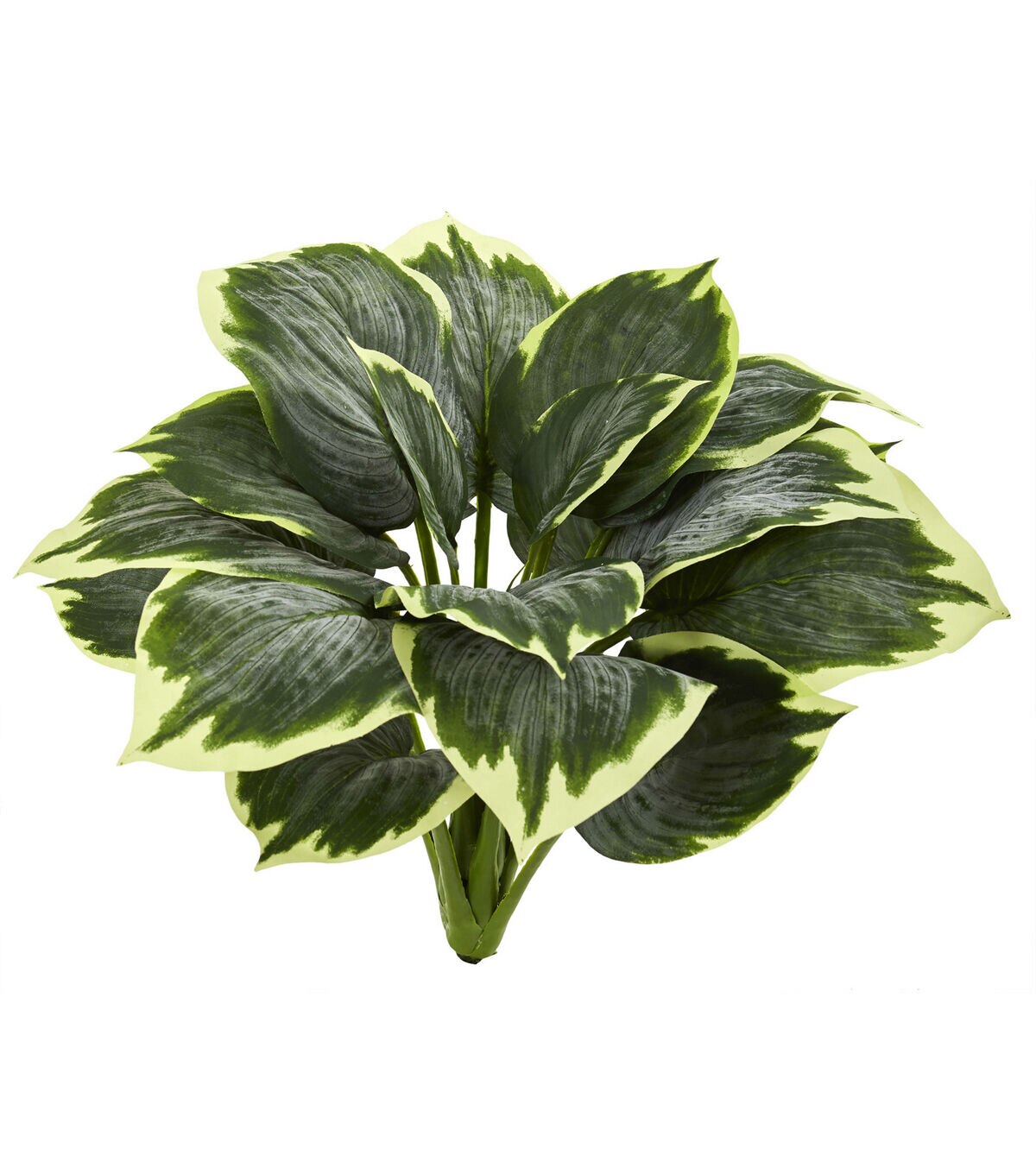 Nearly Natural 16 Variegated Hosta Artificial Plant 6ct