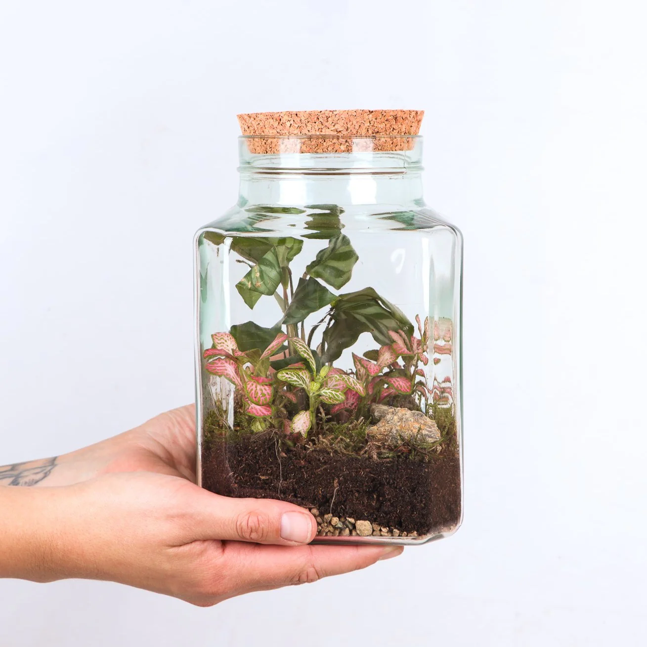 Terrarium quadratisch (Flaschengarten) (S)