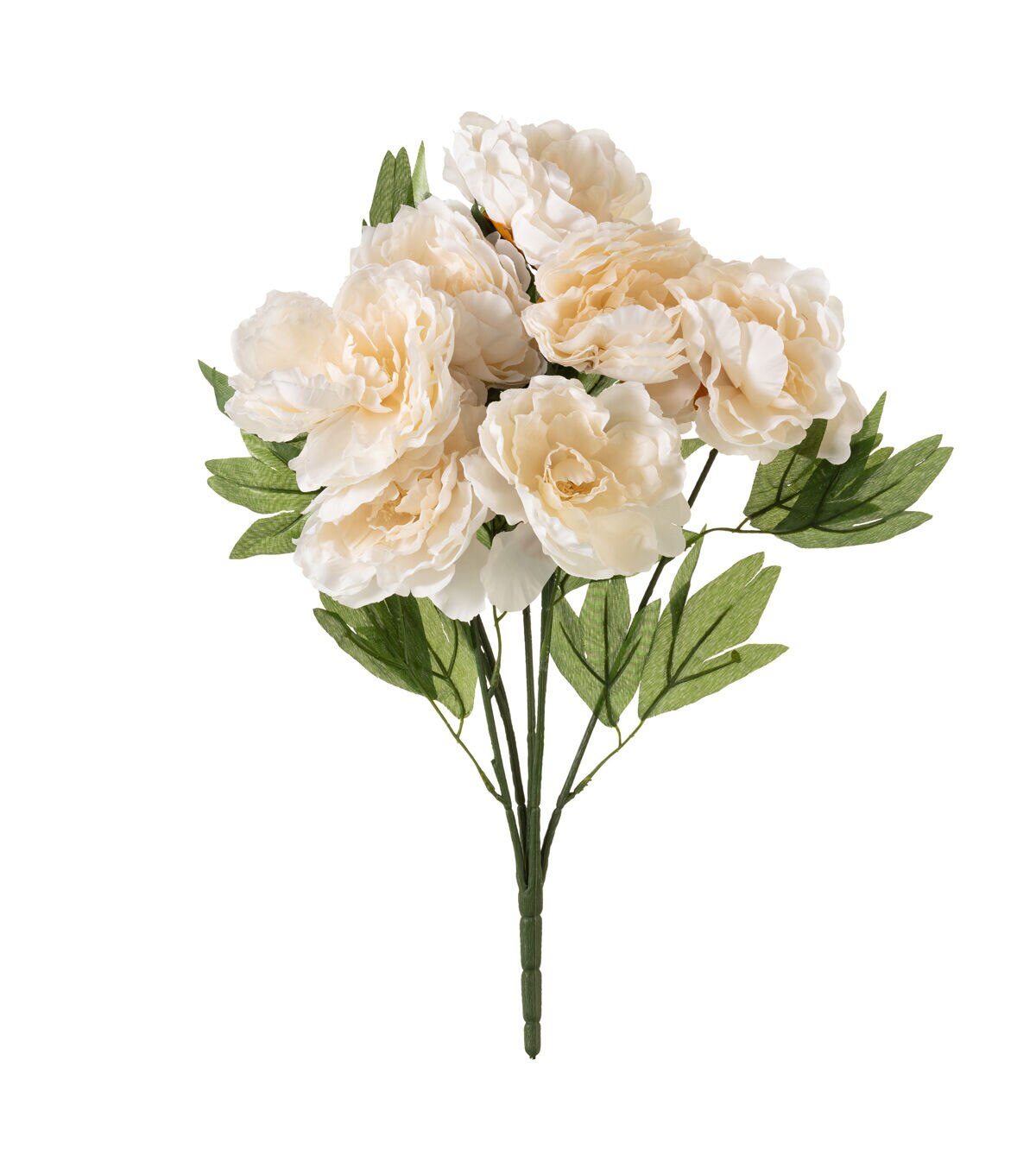 20 White Peony Bush by Bloom Room