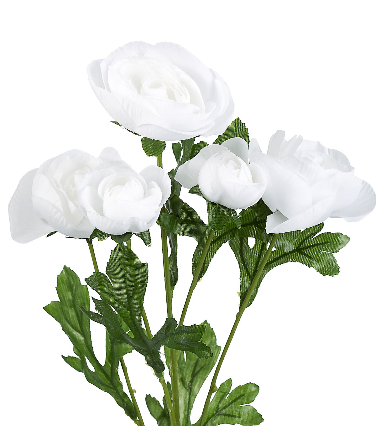 27 White Ranunculus Stem by Bloom Room