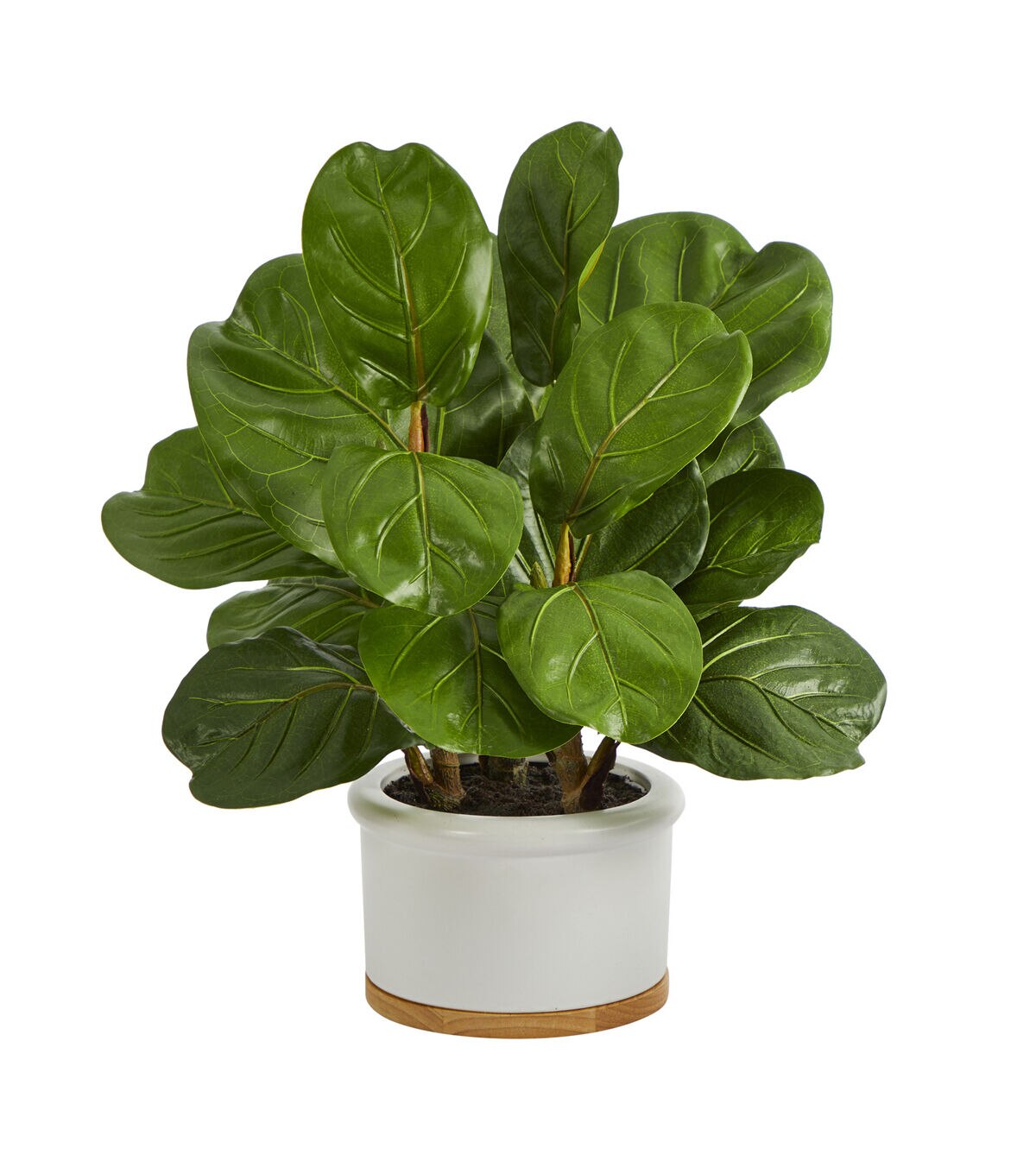 Nearly Natural 15 Artificial Fiddle Leaf Tree in White Planter