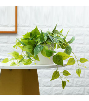 Forever Leaf Artificial Ivy Foliage Plant in White Ceramic Pot 2pk