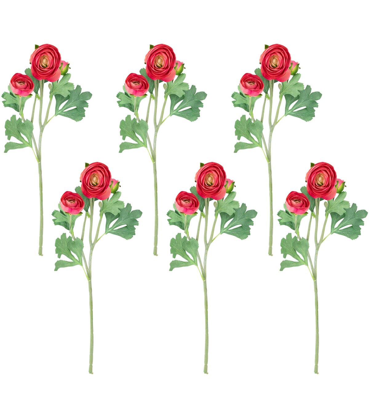 Northlight 21 Coral Ranunculus Stems 6ct