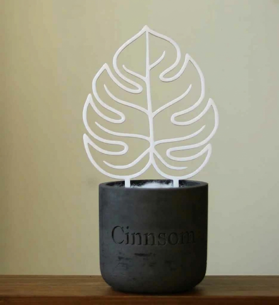 Monstera-Blatt-Zimmerpflanzen-Spalier