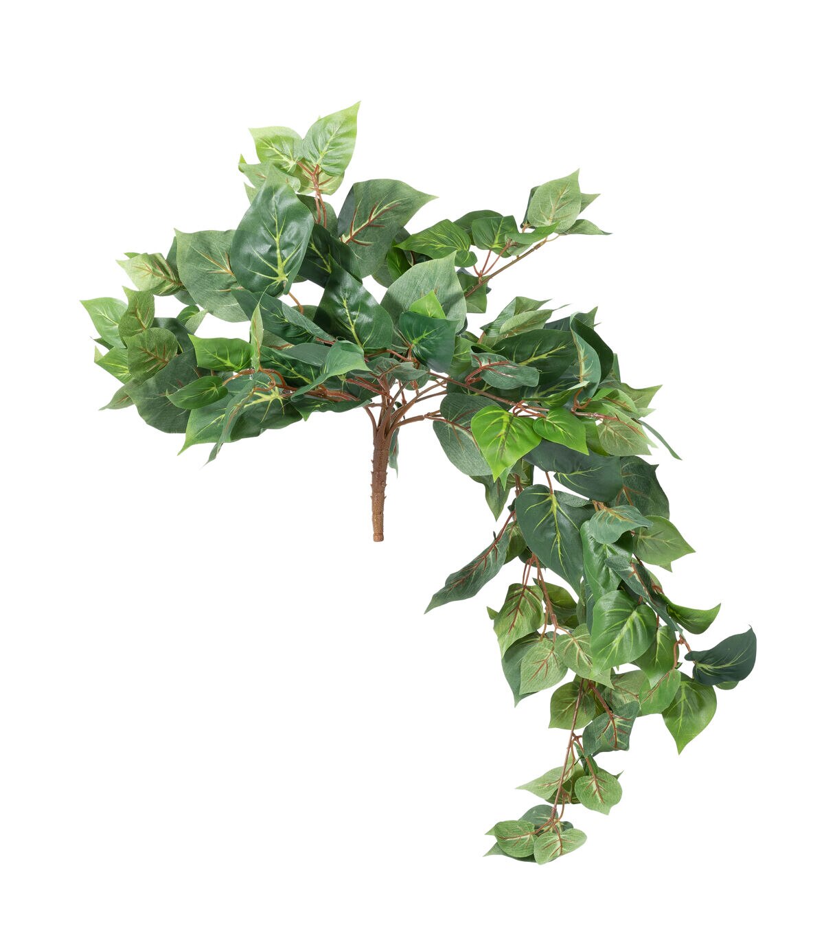 30 Hanging Puff Philo Bush by Bloom Room