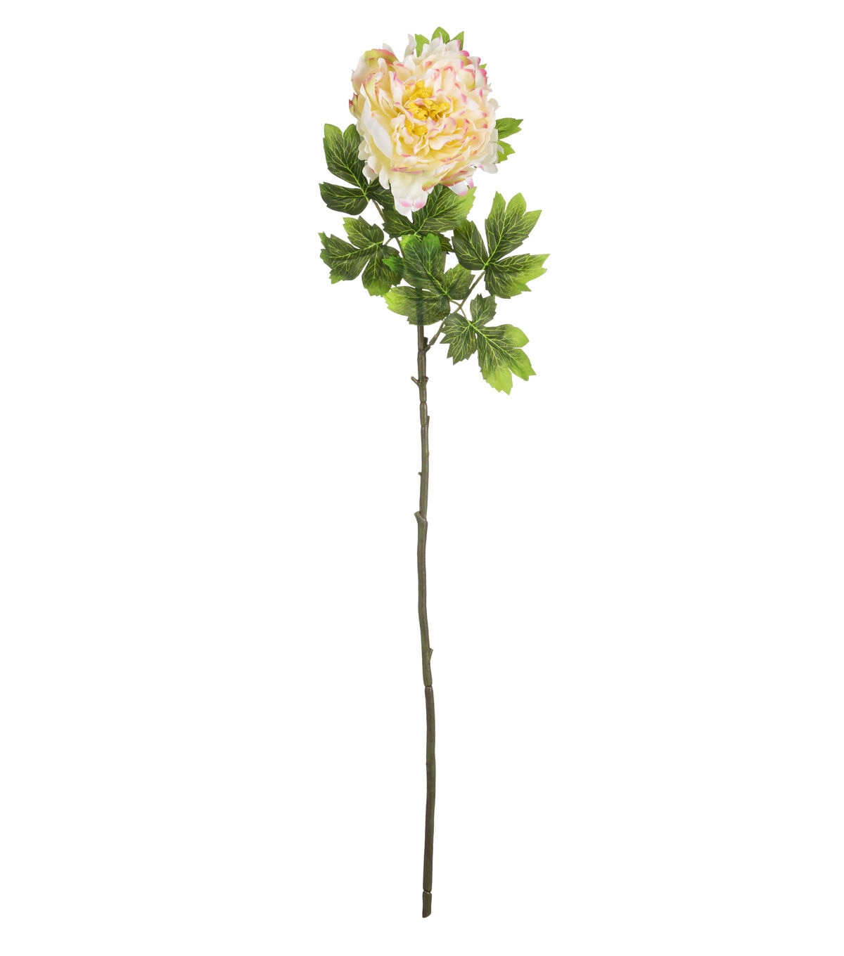 29 Yellow & White Peony Stem by Bloom Room