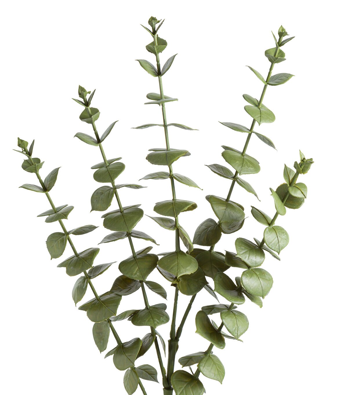 29 Green Eucalyptus Stem by Bloom Room