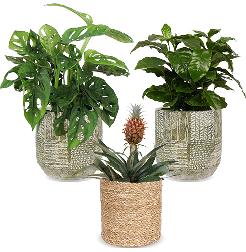 Kleine Küchenhelfer