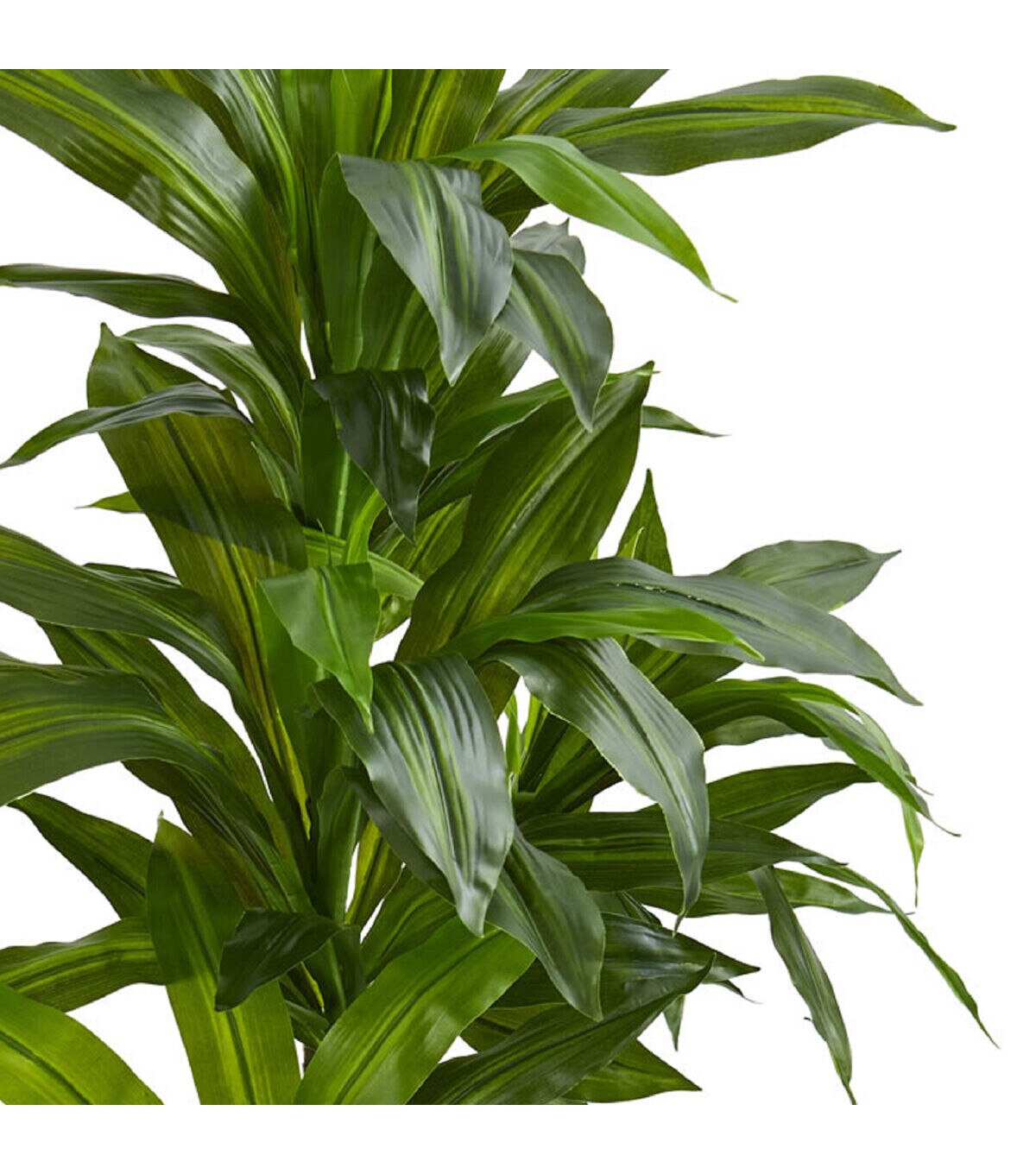 Nearly Natural 4ft. Dracaena Plant in Sand Colored Planter