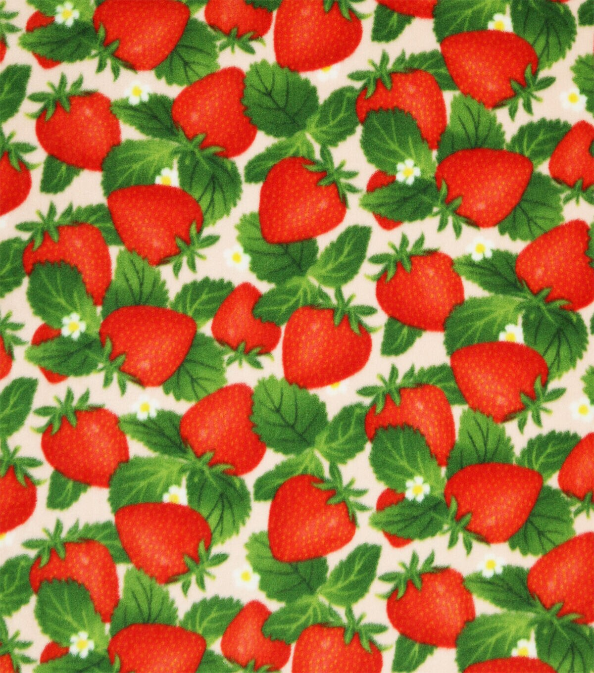 Red Bold Summer Strawberry Patch Anti Pill Plush Fleece Fabric