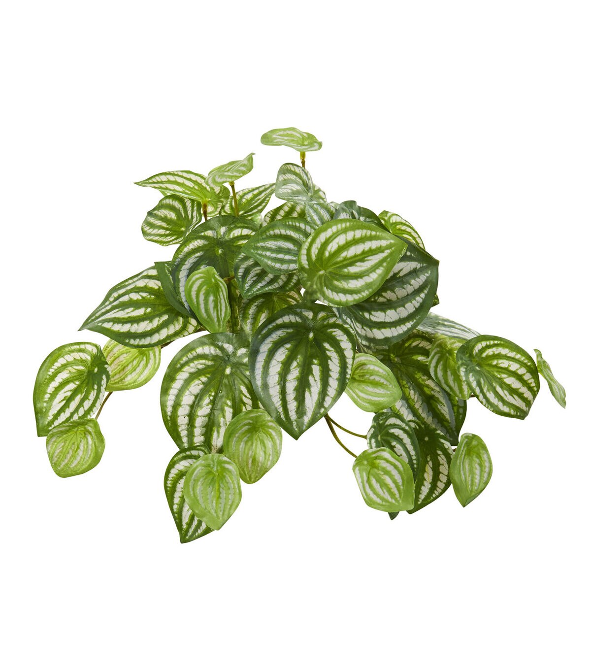 Nearly Natural 11 Real Touch Hanging Watermelon Peperomia Bushes 12ct