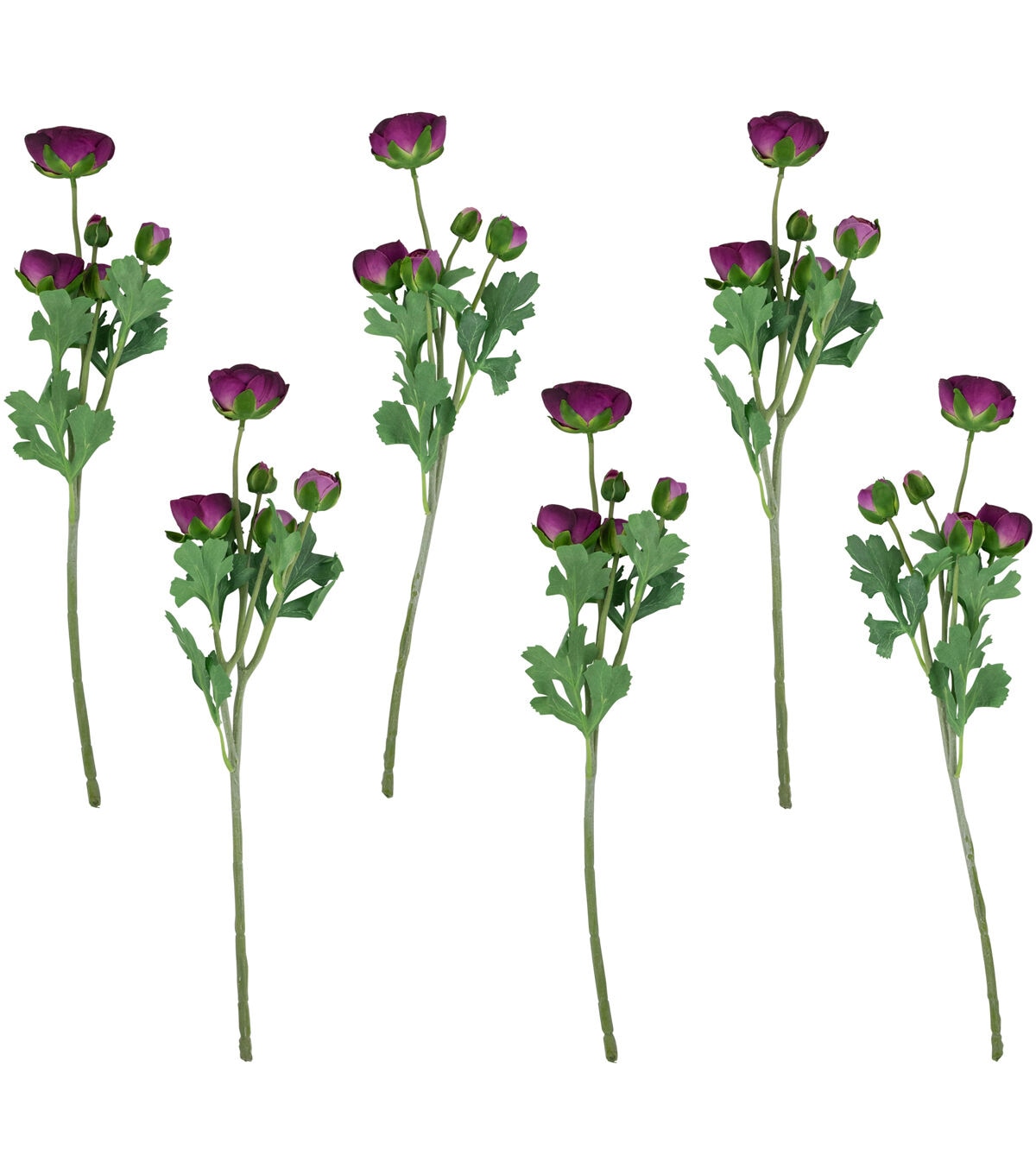 Northlight 21 Plum Ranunculus Stems 6ct