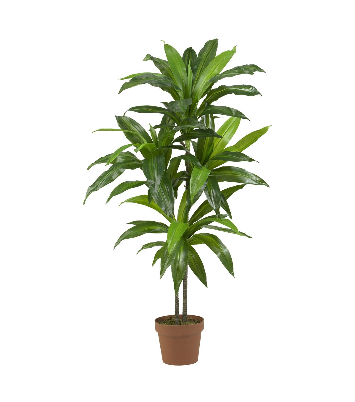 Nearly Natural Dracanea Silk Plant