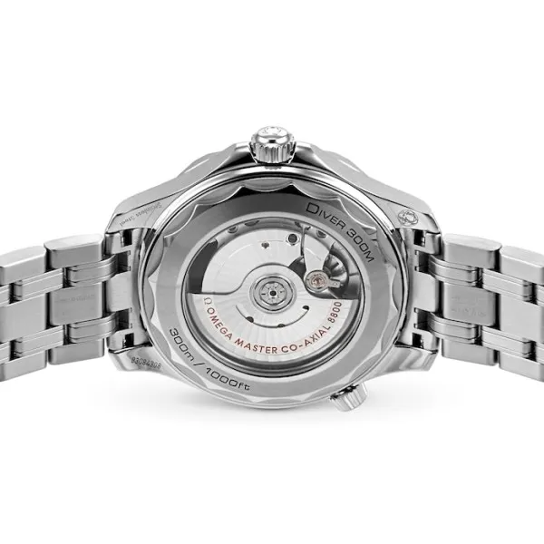 Omega Seamaster Men Automatic White Stainless Steel Watch O21030422004001