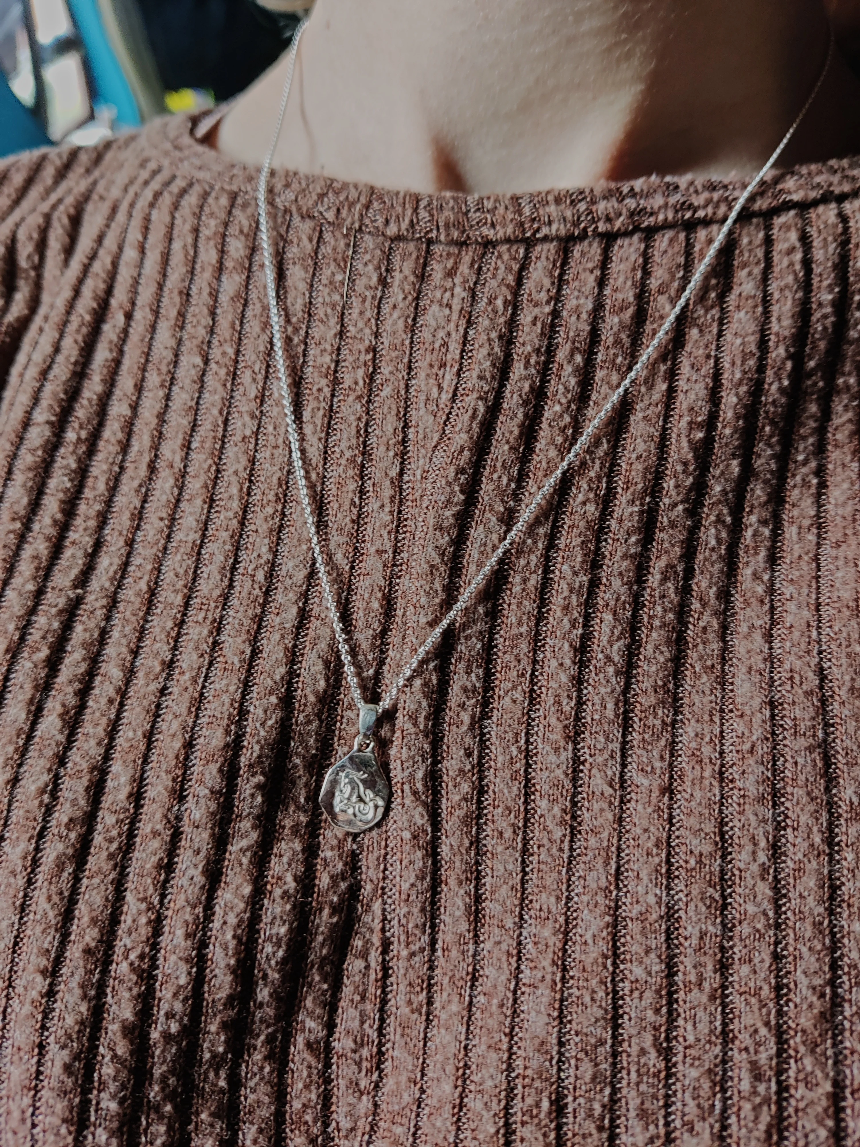 Ketting in zilver met sterrenbeeld - Steenbok