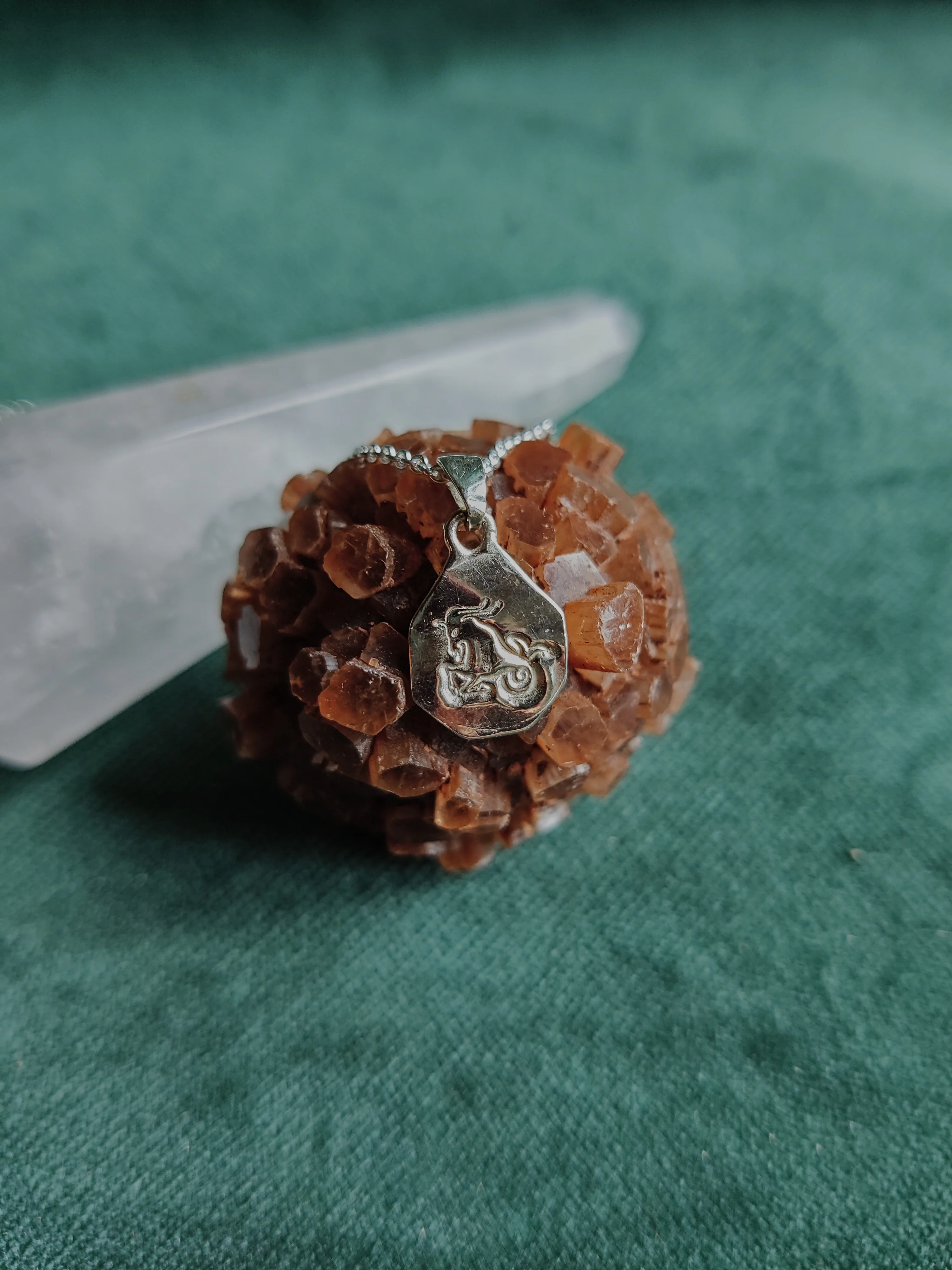 Ketting in zilver met sterrenbeeld - Steenbok