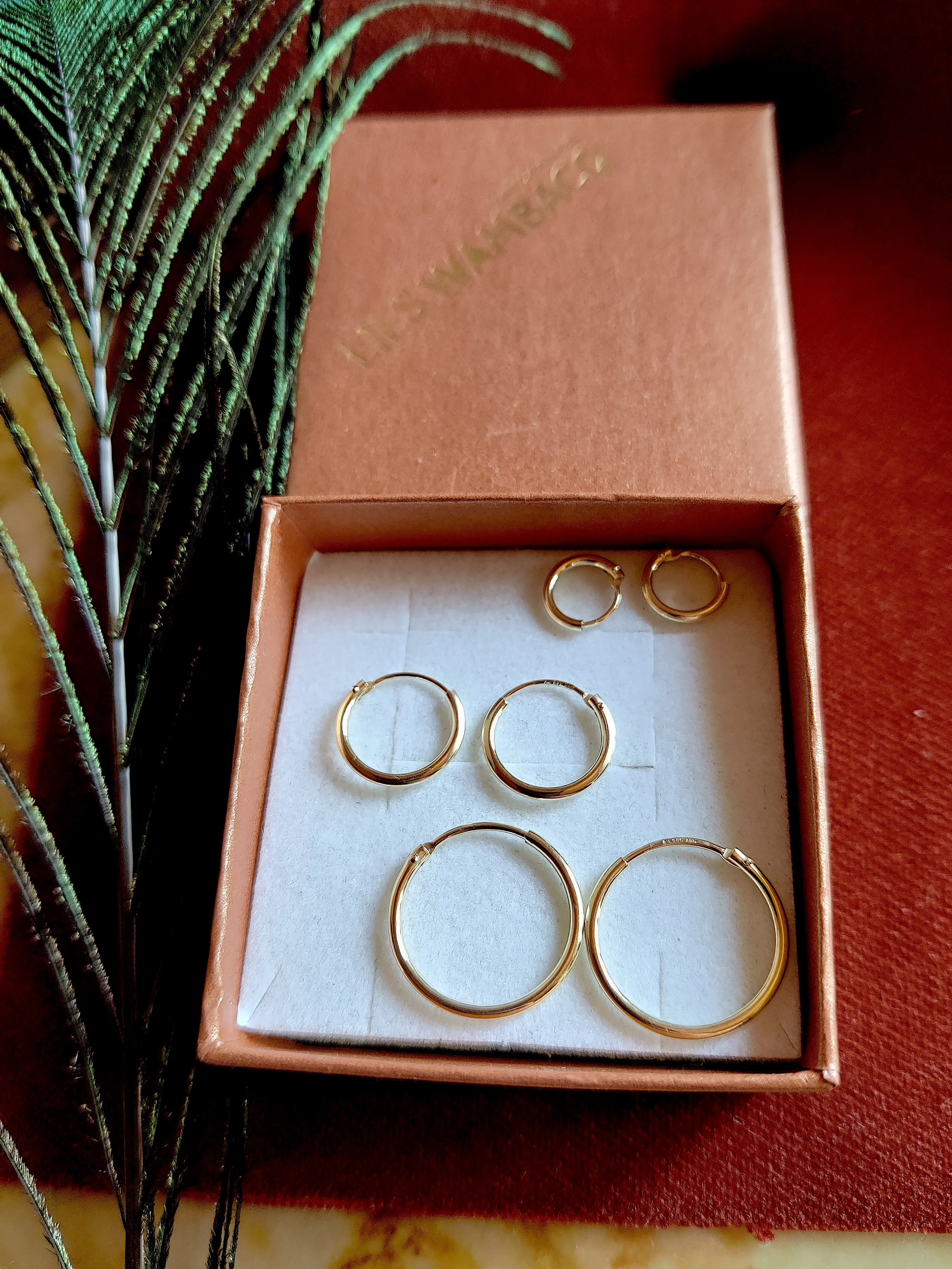 Oorbel in 14k geel goud: Ringies
