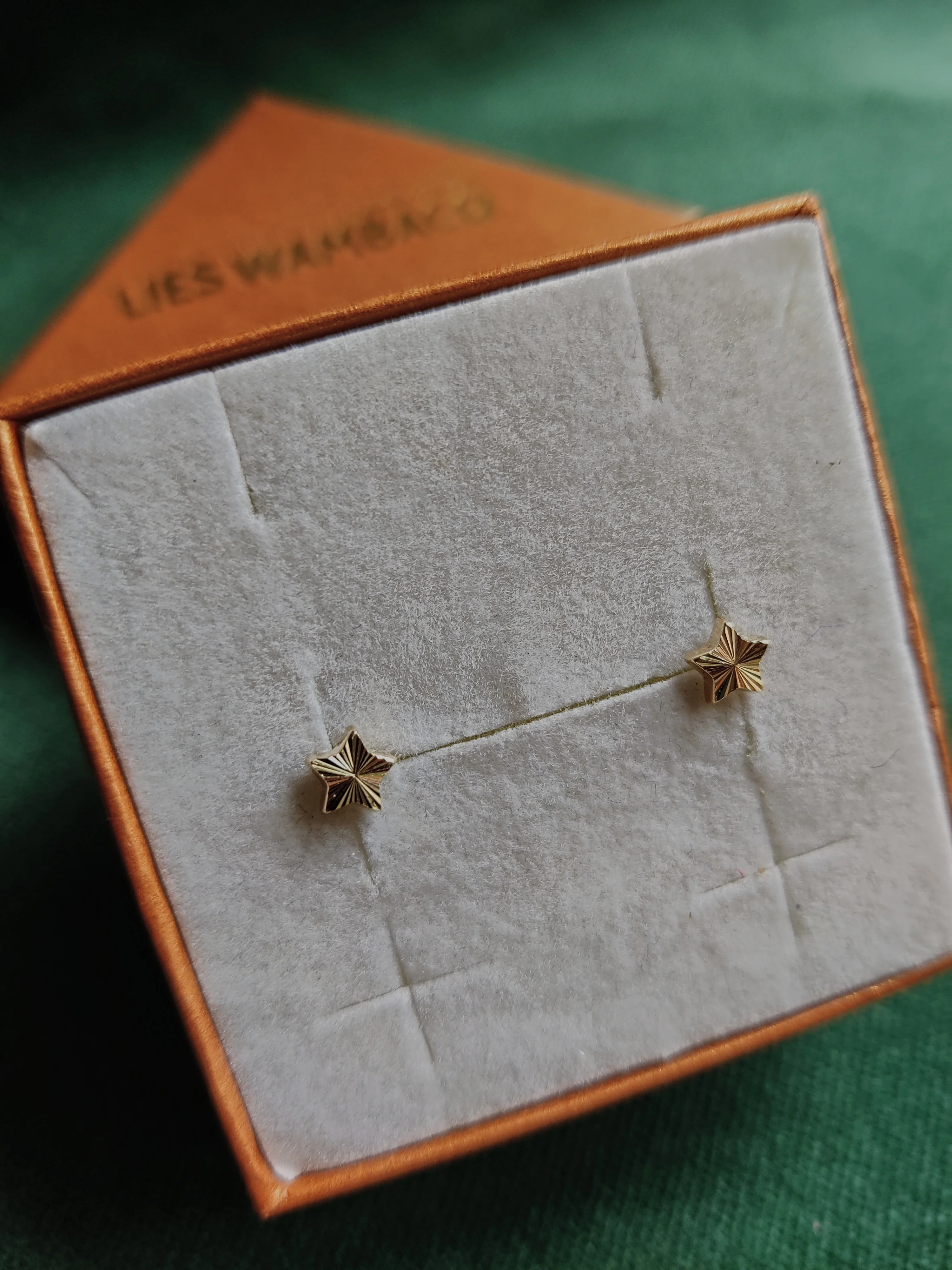 Oorbel in 14k geel goud met ster - Star