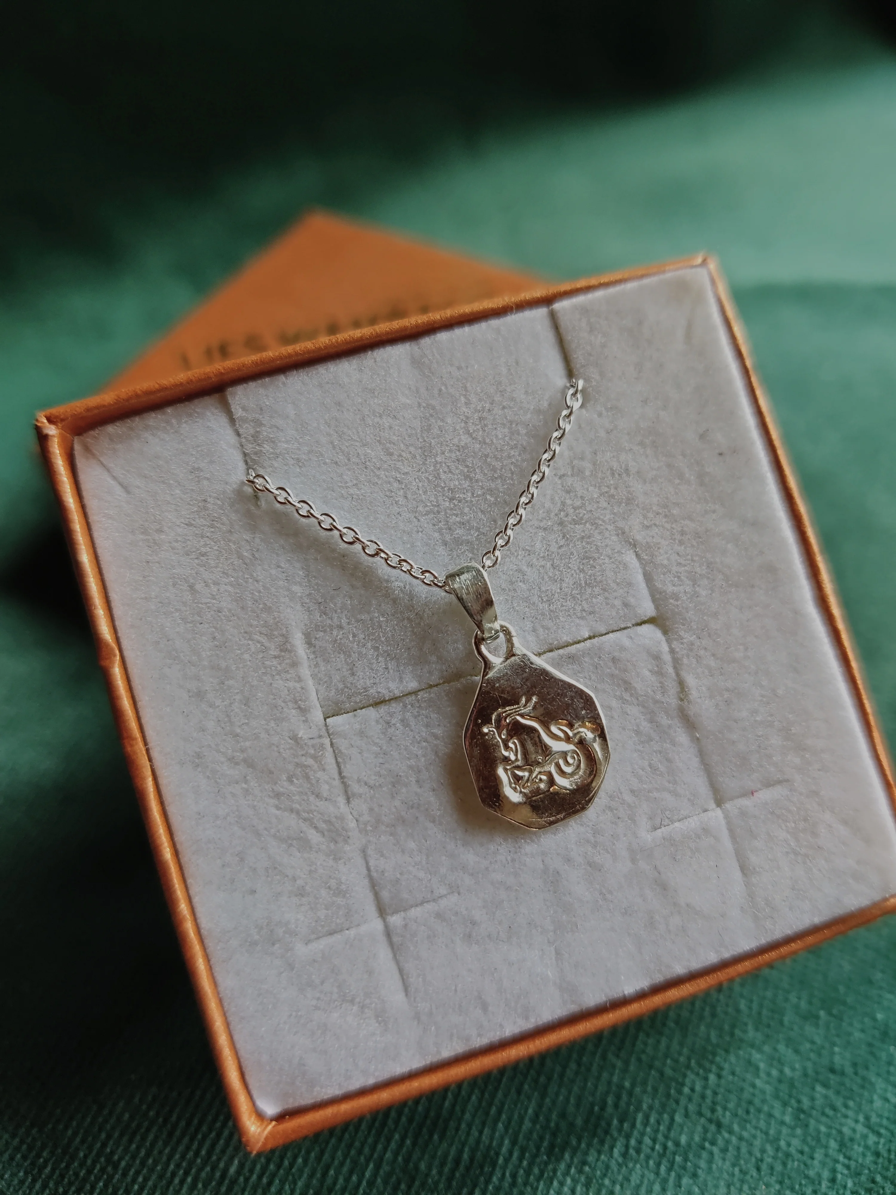 Ketting in zilver met sterrenbeeld - Steenbok