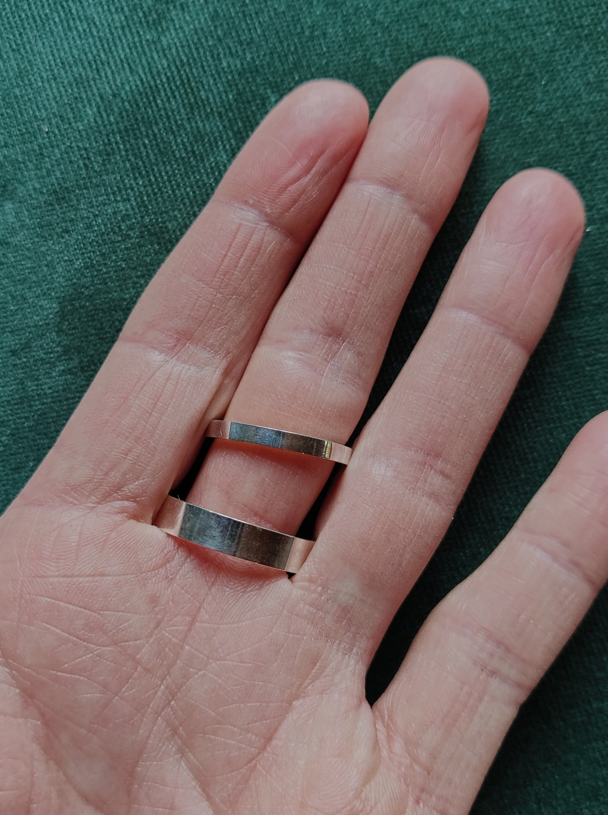 Trouwringen in platina- Dante en Béatrice