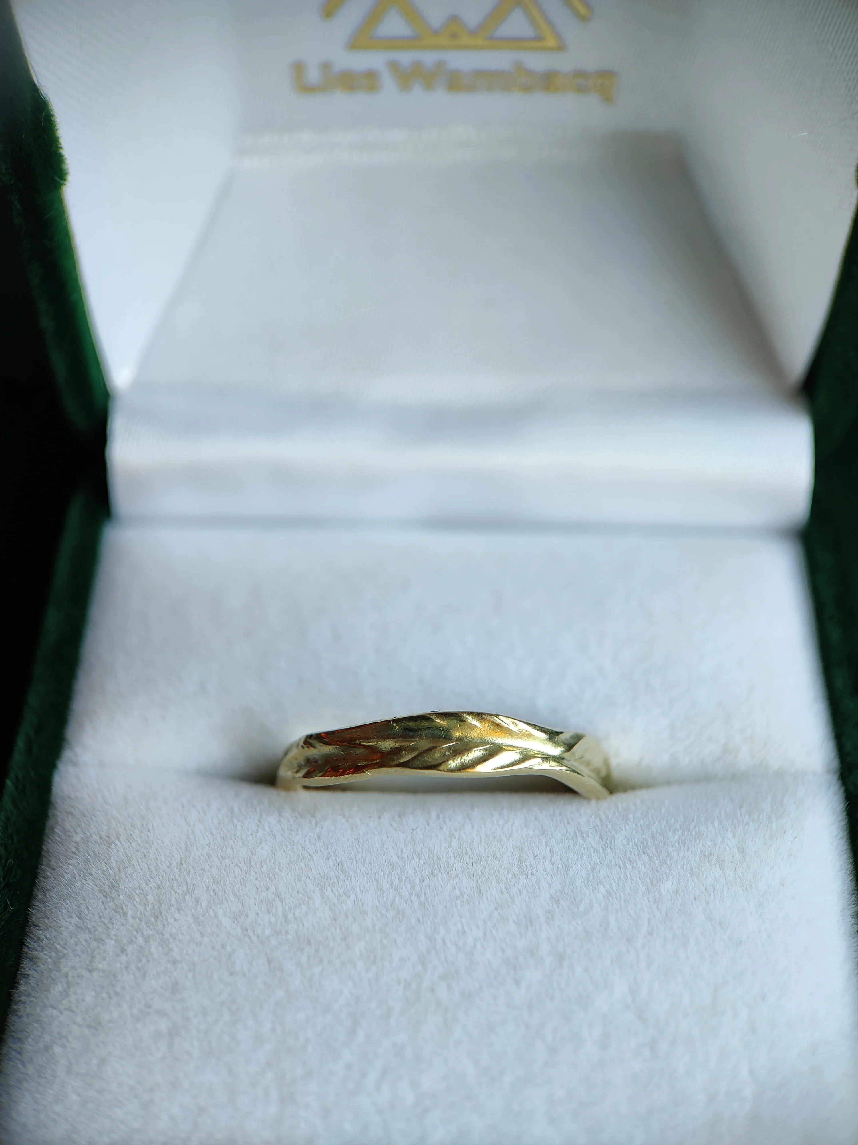 Ring in 14K geel goud met veer patroon: Fien
