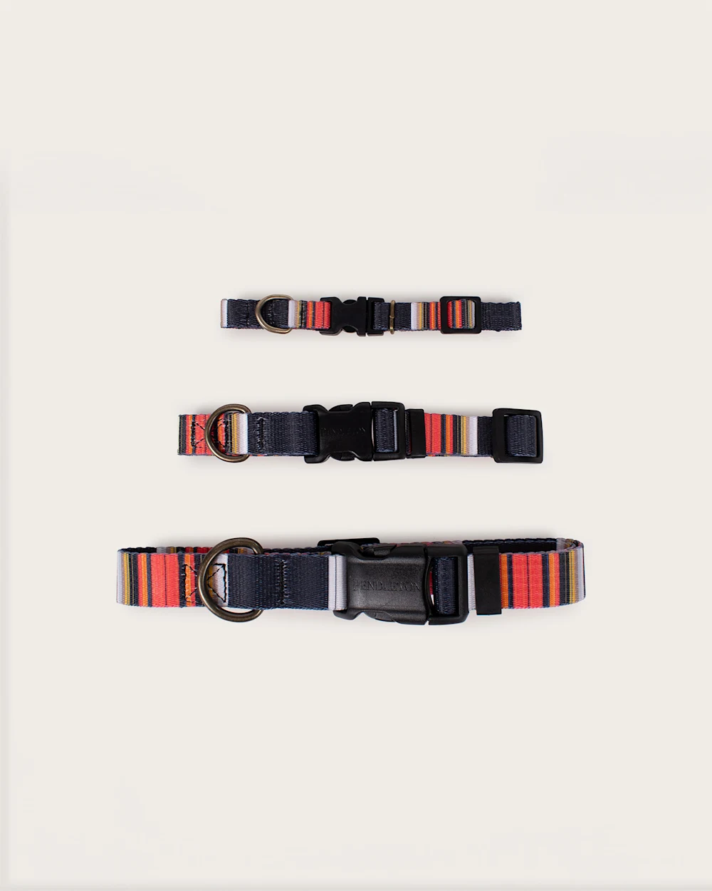ACADIA NATIONAL PARK ADVENTURE COLLAR