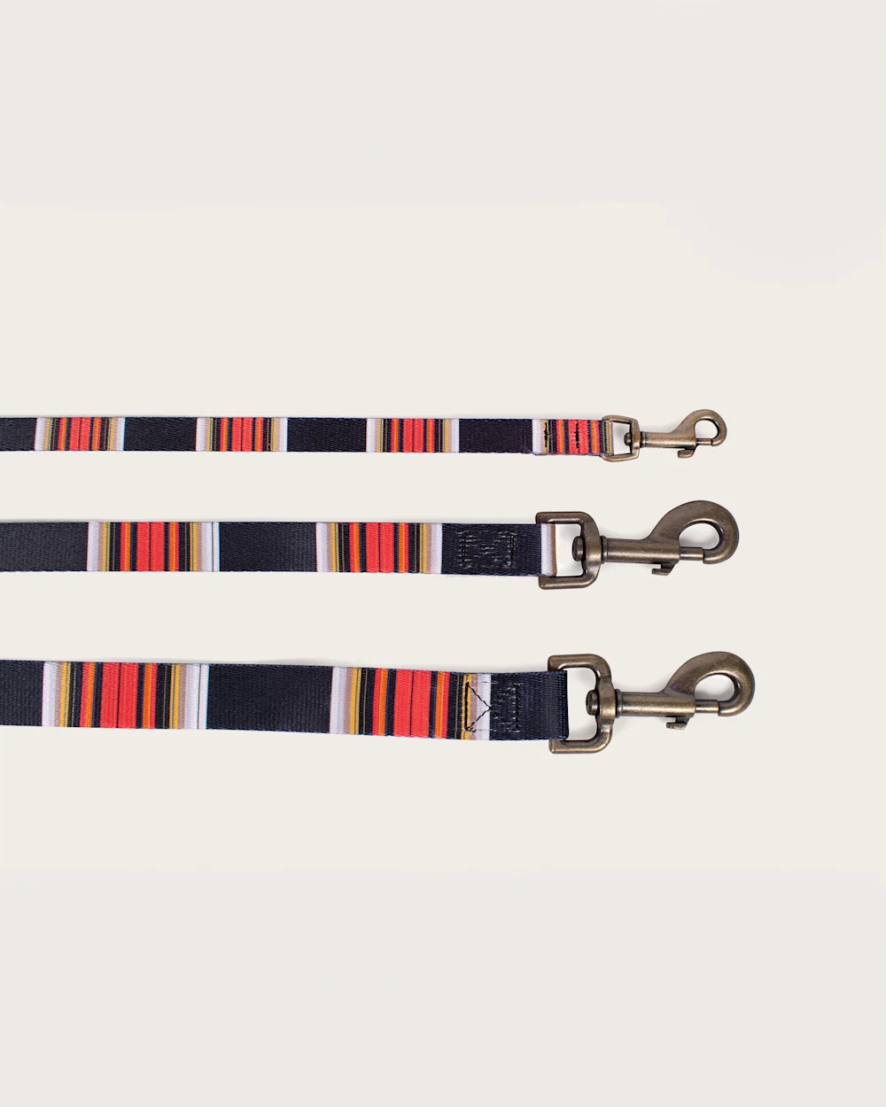 ACADIA NATIONAL PARK ADVENTURE LEASH