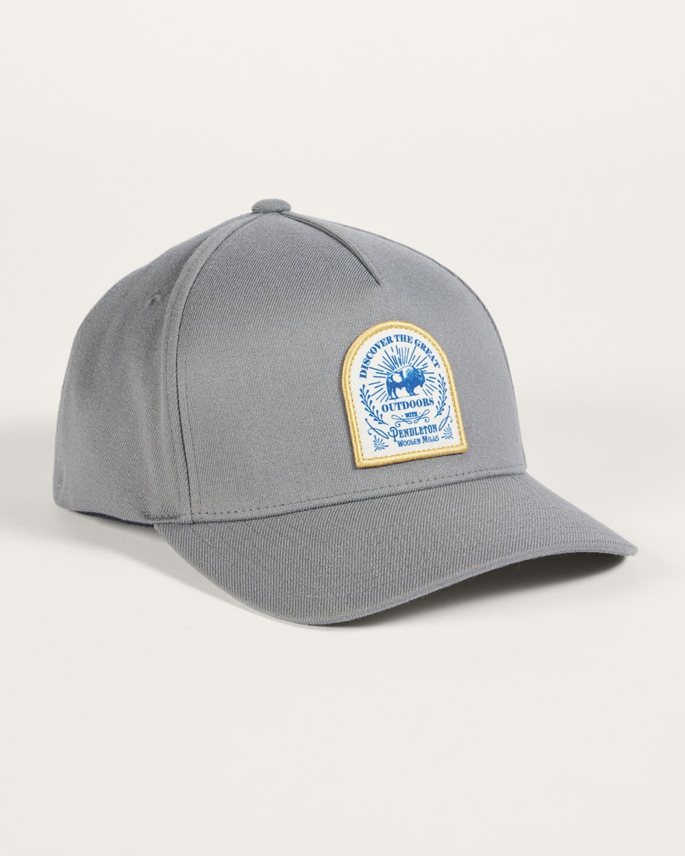 BISON GRAPHIC HAT