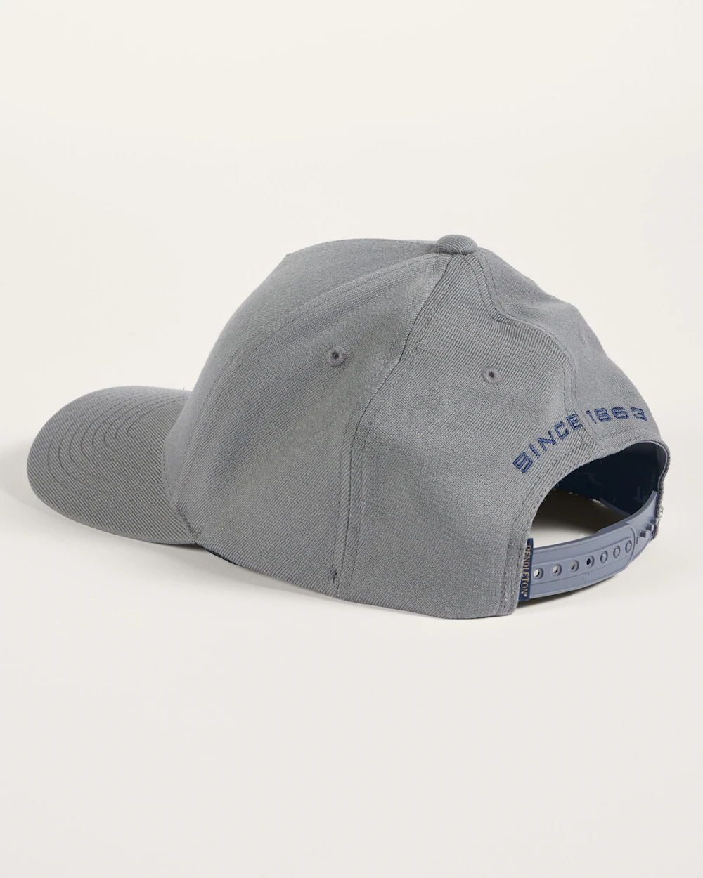 BISON GRAPHIC HAT