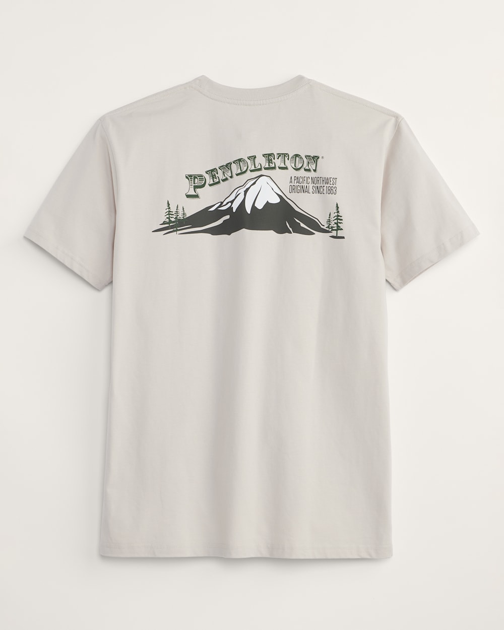 MEN'S MOUNTAIN TOP GRAPHIC TEE