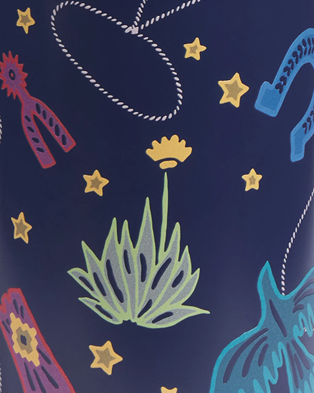 COSMIC RODEO 12 OZ INSULATED BOTTLE