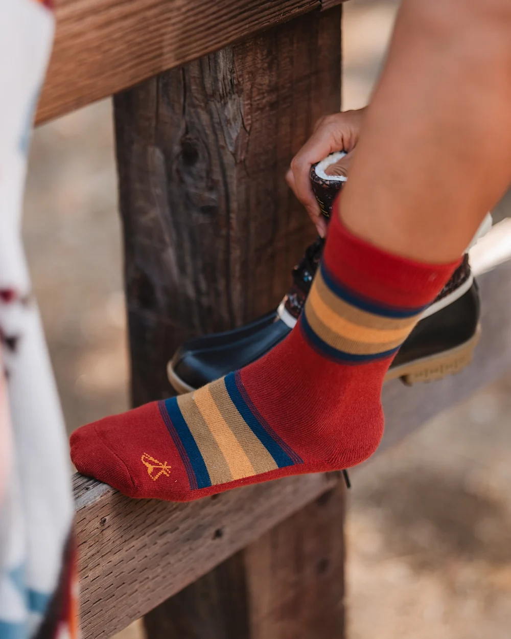 NATIONAL PARK STRIPE CREW SOCKS