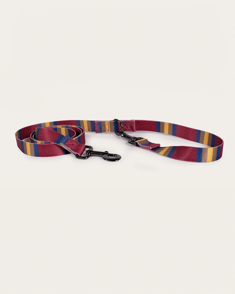 ZION NATIONAL PARK ADVENTURE LEASH