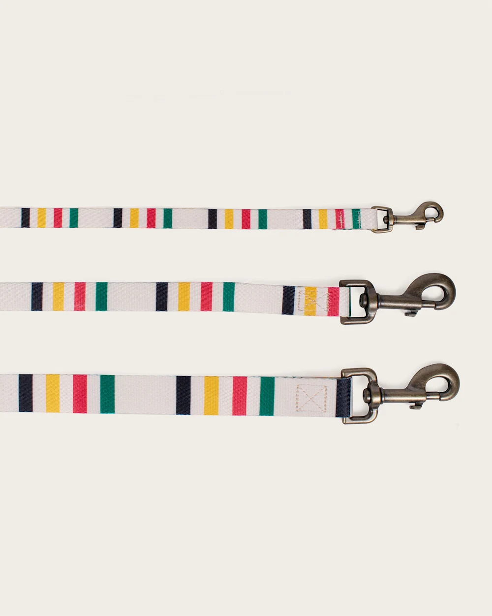 GLACIER NATIONAL PARK ADVENTURE LEASH