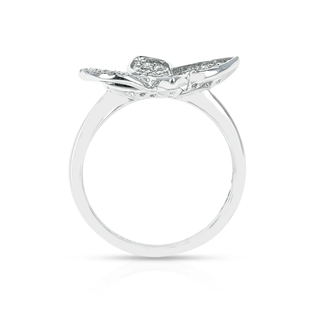 Piero Milano Butterfly and Halo Diamond Ring, 18k White