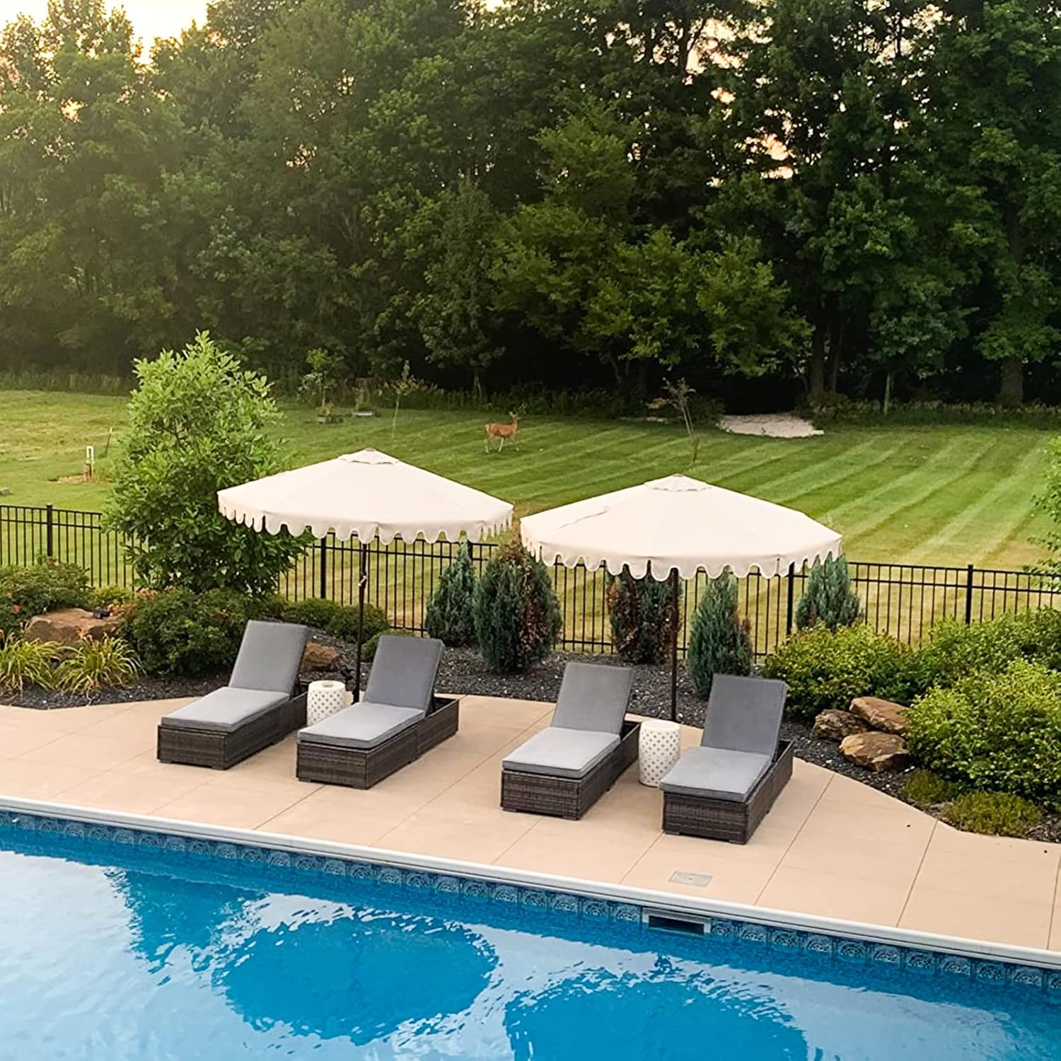 Patiorama Outdoor Patio Lounge Chair, Elegant Reclining Adjustable Pool Rattan Chaise Chair with Beige Cushion, Brown PE Wicker, Steel Frame, Set of 2