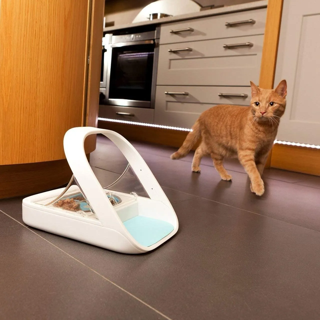 SureFeed Automatic Microchip Pet Feeder for Cats – Dual Wet & Dry Food Compartments, Lightweight Design, Includes Pet Towel