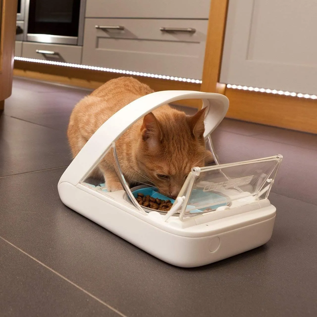 SureFeed Automatic Microchip Pet Feeder for Cats – Dual Wet & Dry Food Compartments, Lightweight Design, Includes Pet Towel